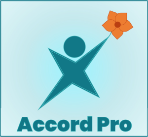 Accord Pro
